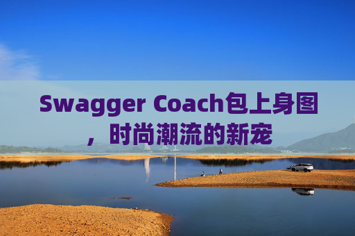 Swagger Coach包上身图，时尚潮流的新宠